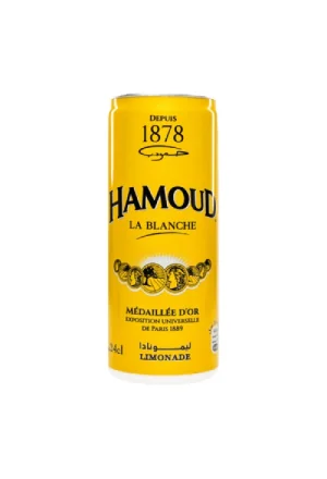 Soda canette 33cl